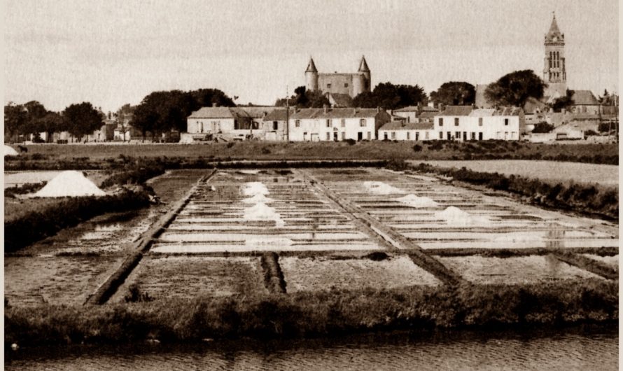 L’eau minérale et ferrugineuse de Noirmoutier au 19e siècle