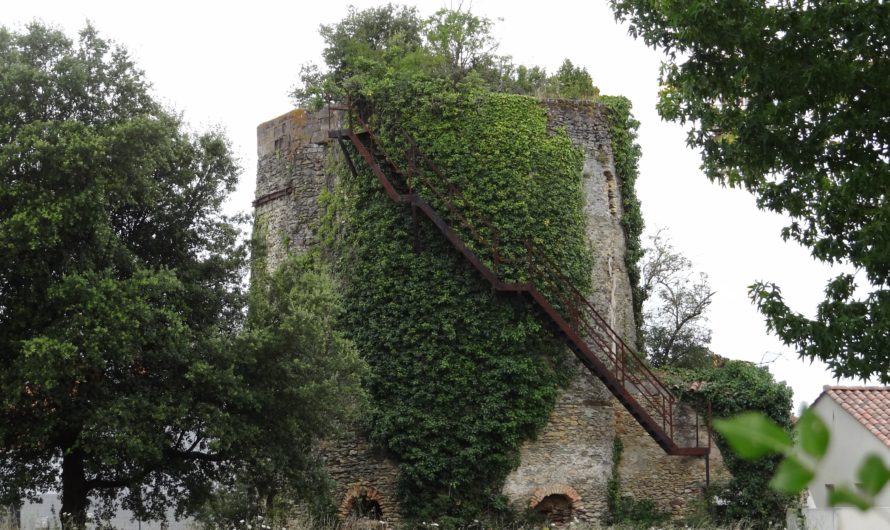 Challans – Les vestiges d’un moulin, d’un château ? Non… d’un four à chaux