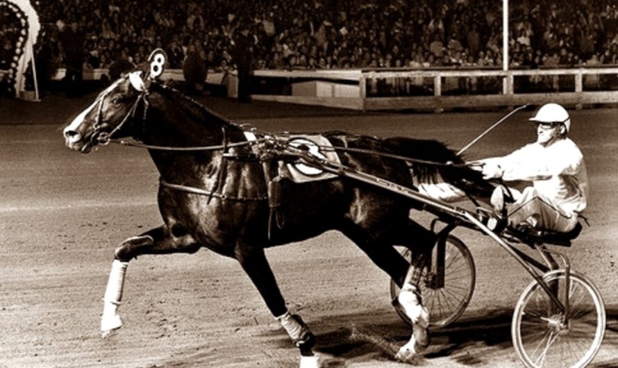 Idéal du Gazeau (1974-1998) – Il était un petit cheval noir