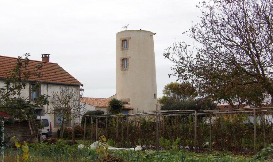 Sallertaine 1940 – Un moulin transformé en « tour de guet » par l’armée allemande