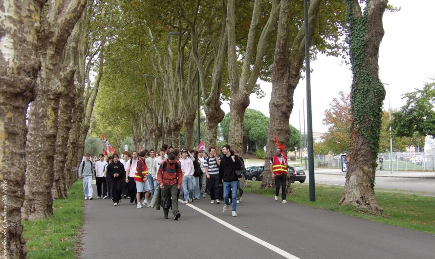 Challans – Le mouvement lycéen bien suivi au lycée Truffaut