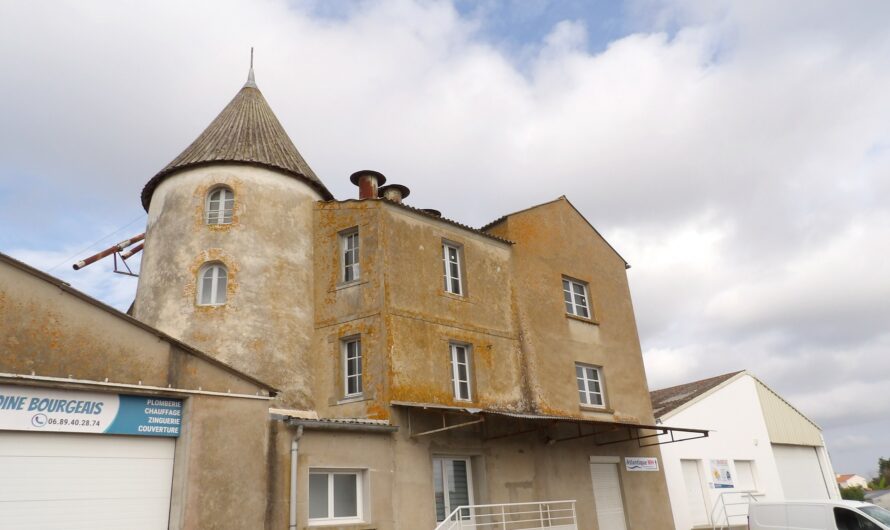 Commequiers – Une construction surprenante… rue du Moulin